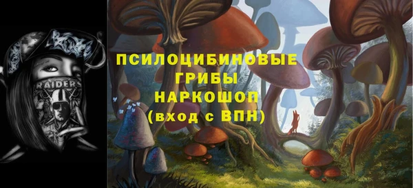 бутират Каменск-Шахтинский