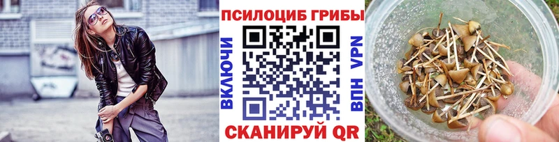 Псилоцибиновые грибы прущие грибы наркотики Железноводск
