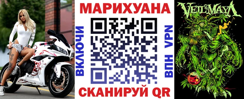 Конопля планчик  Железноводск 